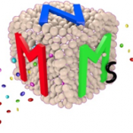 MNMs logo
