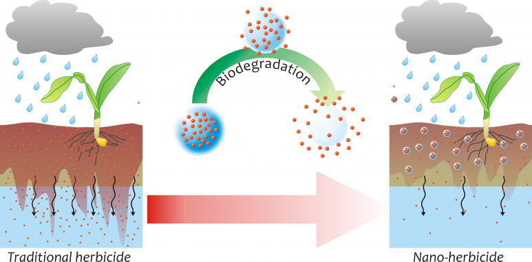 Nanograss
