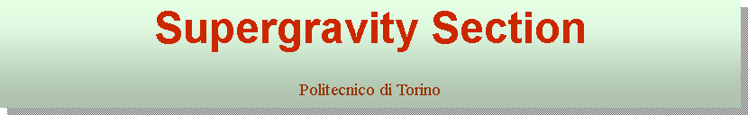 Casella di testo: Supergravity SectionPolitecnico di Torino